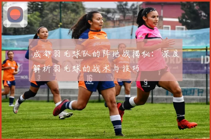 成都羽毛球队的阵地战揭秘：深度解析羽毛球的战术与技巧