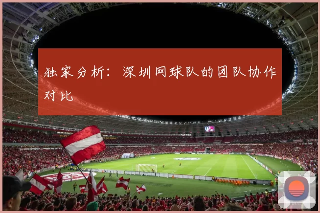 独家分析：深圳网球队的团队协作对比
