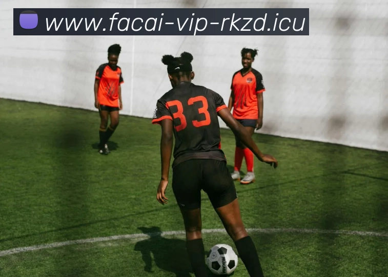 华体会体育平台生态图